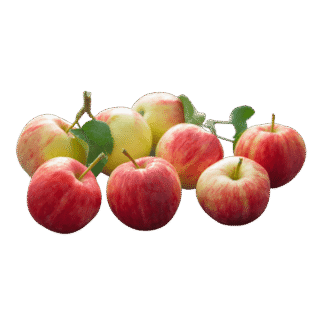 Organic Apples