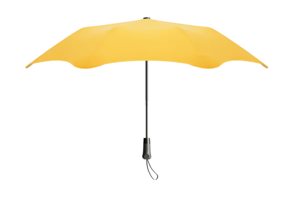 umberlla